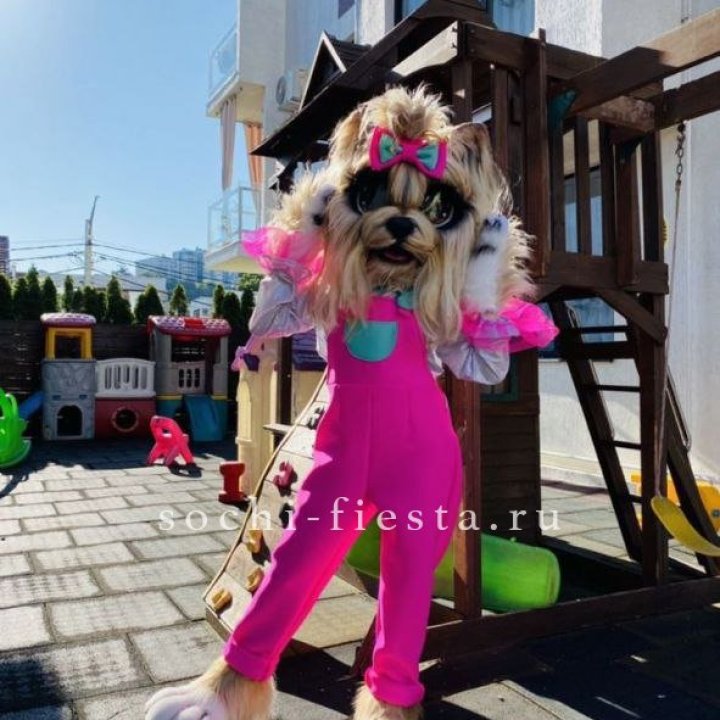 Аниматор Гламурная Собака в Королёве