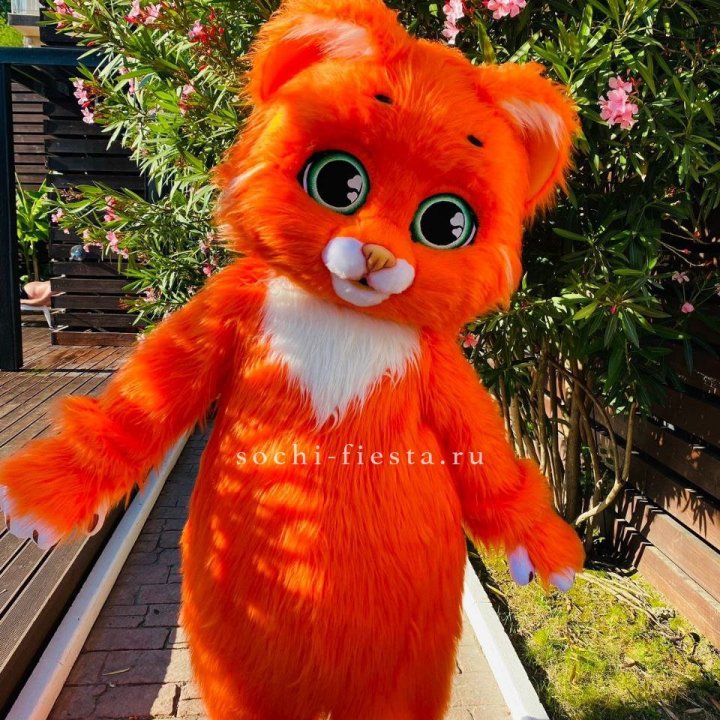 Аниматор Котик в Королёве