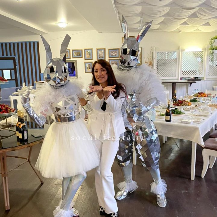 Аниматор Зеркальный заяц в Королёве