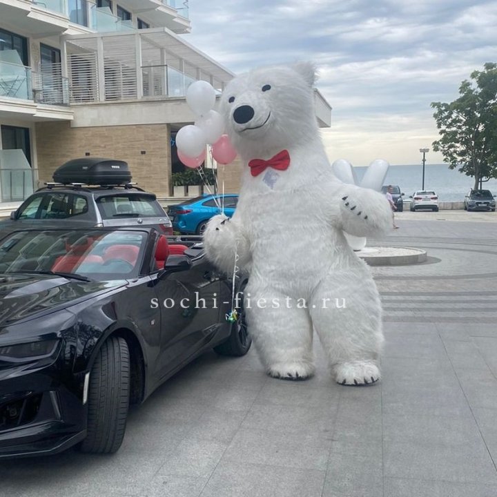 Аниматор Белый Медведь в Королёве