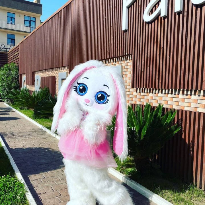 Аниматор Зайка в Королёве