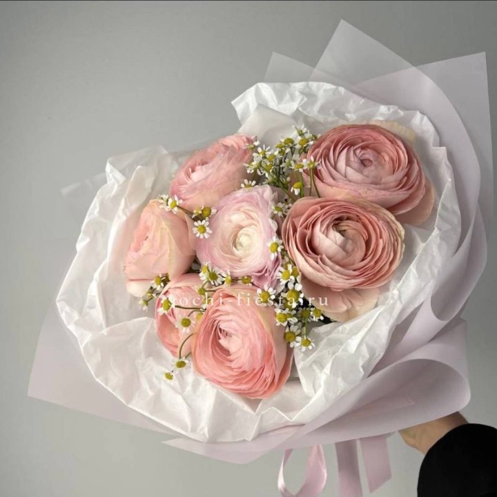 Ранункулюсы с ромашками в Королёве