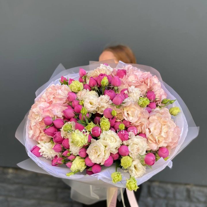  Букет  гортензий и Мисти в Королёве