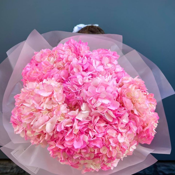 9 ярко розовых гортензий в Королёве