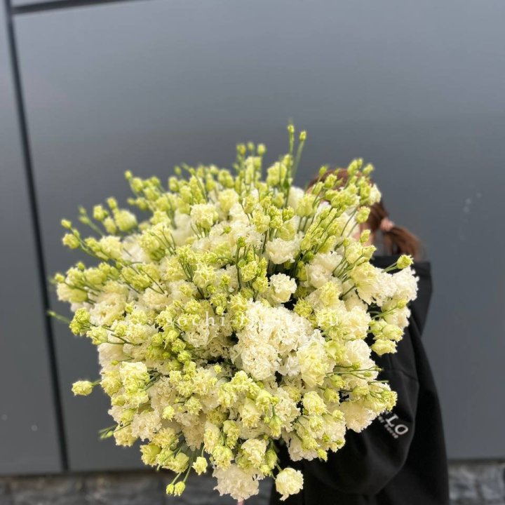 51 белая эустома в Королёве