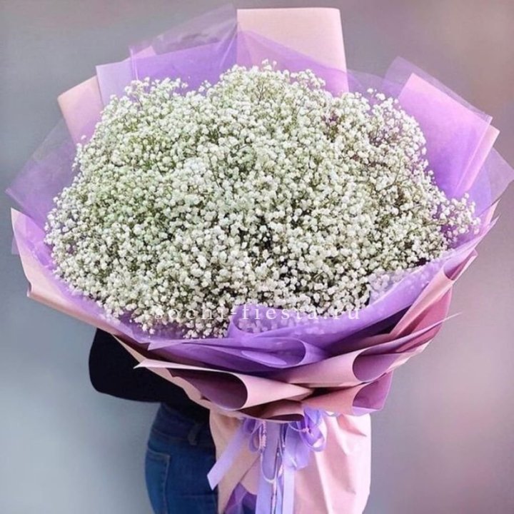 Облако белых гипсофил в Королёве