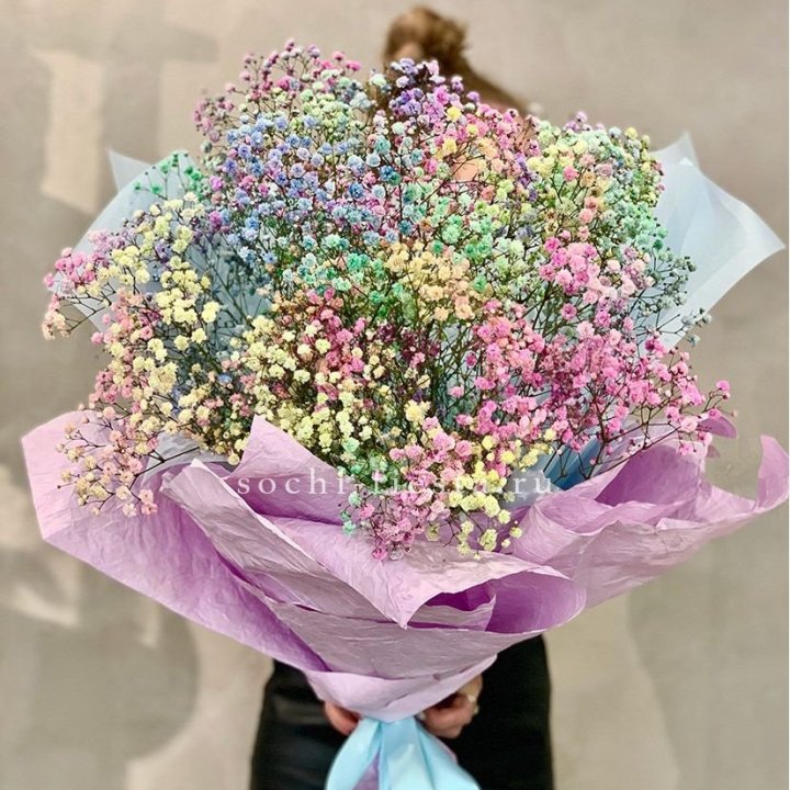 Радужные гипсофилы №2 в Королёве