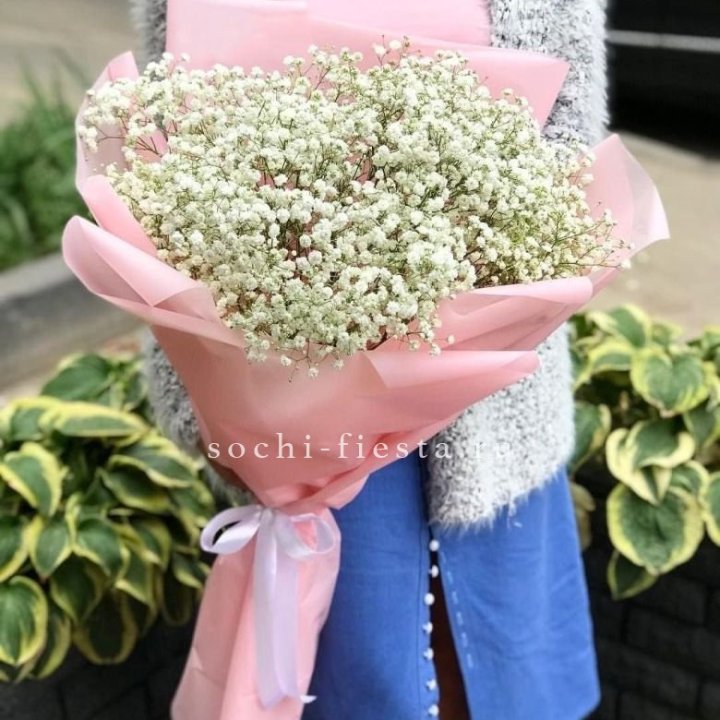 Белоснежные гипсофилы в Королёве