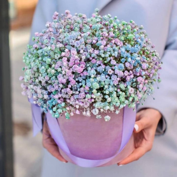 Гипсофилы в шляпной коробке "Кандилайт" в Королёве