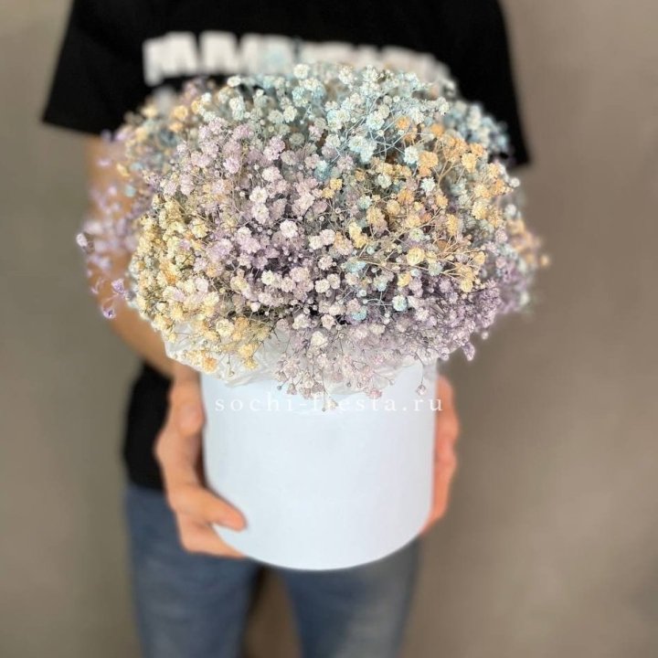 9 Радужных гипсофил в шляпной коробке в Королёве