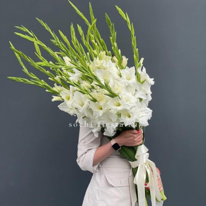 19 белых гладиолусов под ленту в Королёве