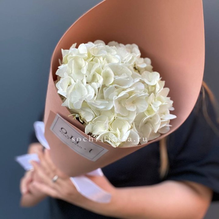 Гортензия в конверте в Королёве
