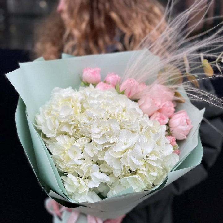 Гортензия "Жасмин" в Королёве