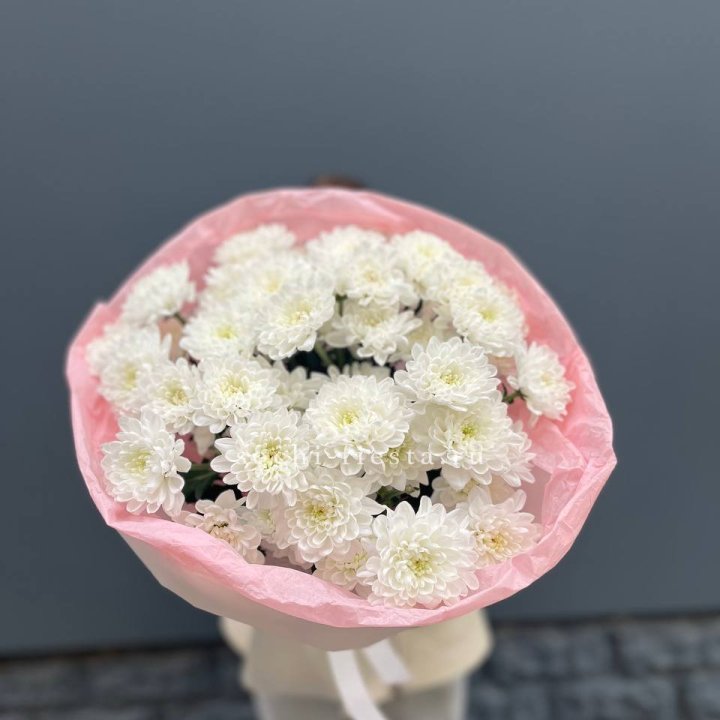  5 хризантем  в Королёве