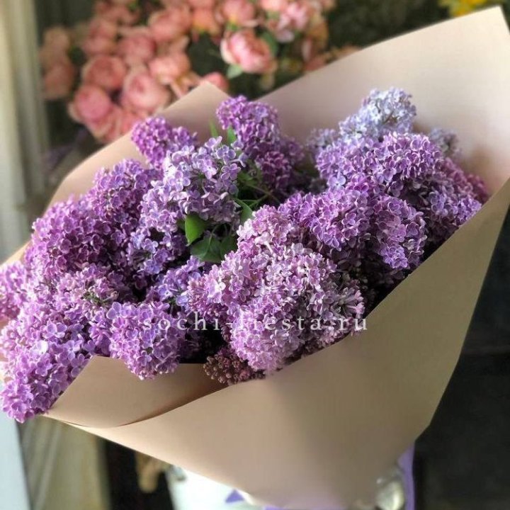 Букет сирени №2 в Королёве