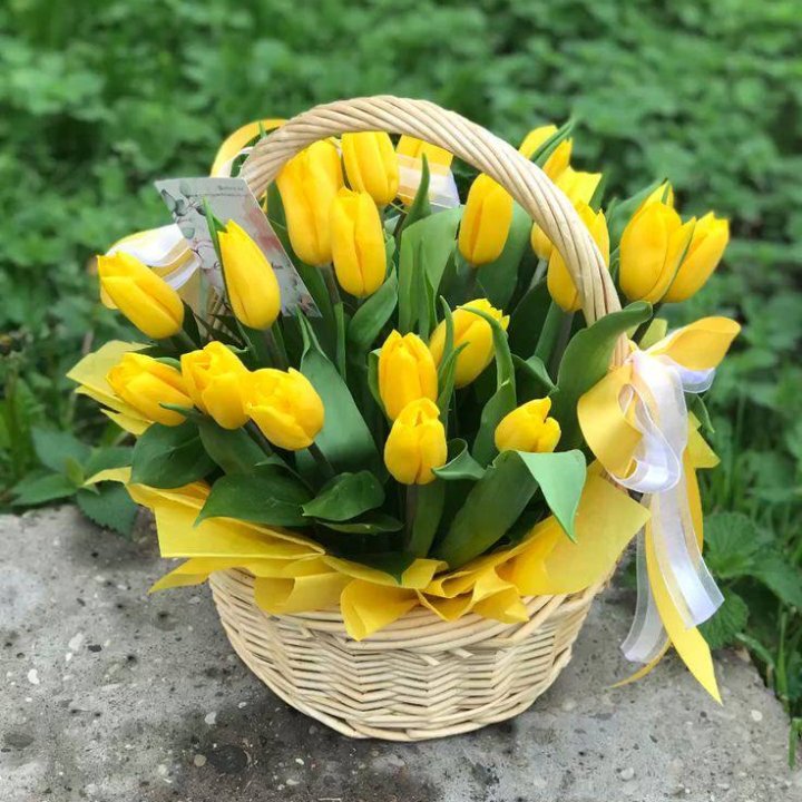 25 желтых тюльпанов в корзине в Королёве