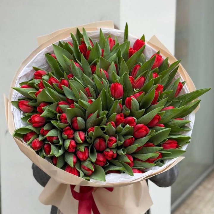 101 красный тюльпан в Королёве