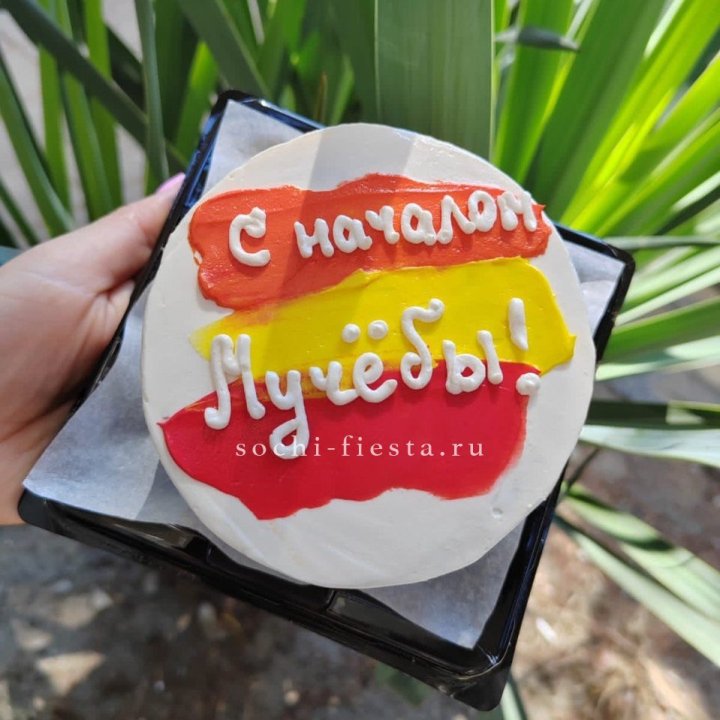 Бенто-торт "С началом учёбы"" в Королёве