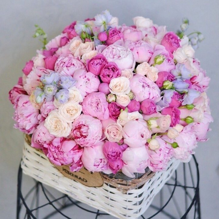 Композиция "Черри" в Королёве