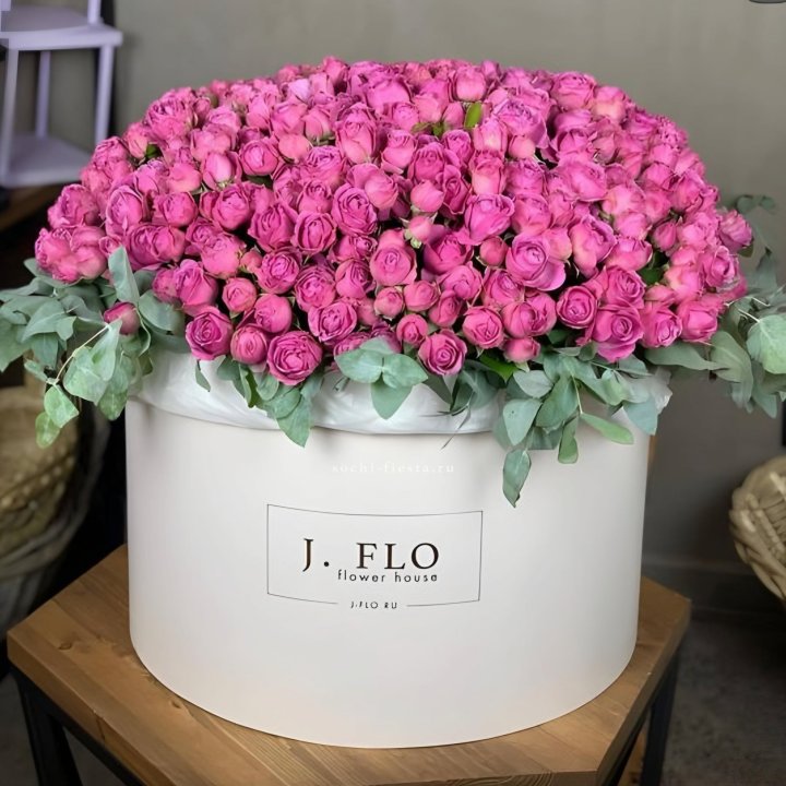 Цилиндр с Мисти Бабблс  в Королёве