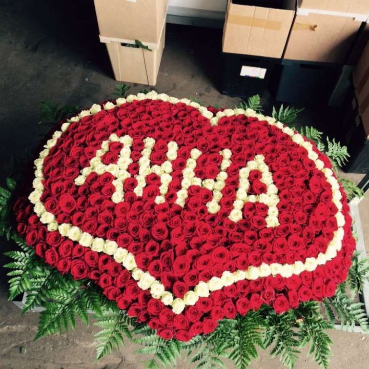 555 роз с именем в Королёве