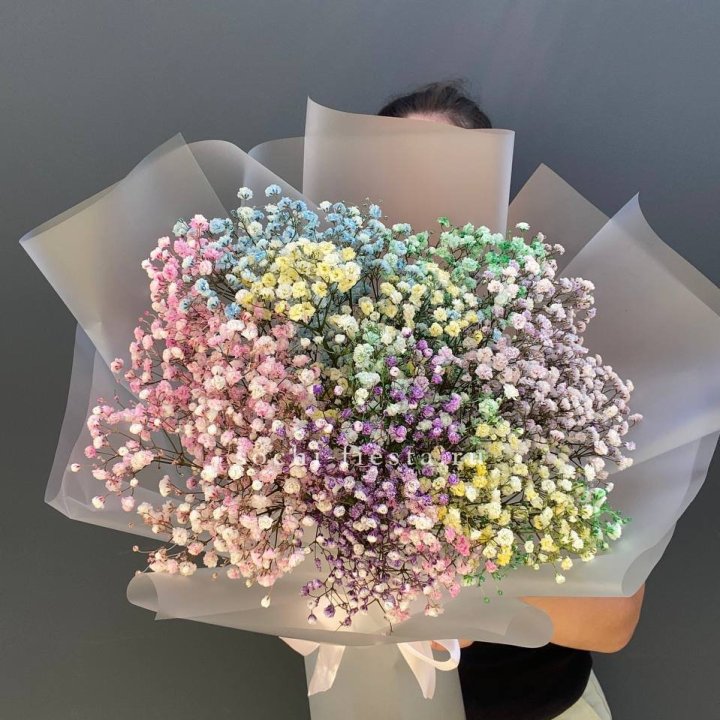 Радужные гипсофилы  в Королёве