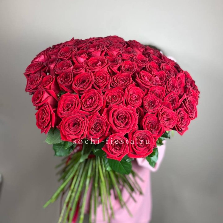 101  голландская роза  в Королёве