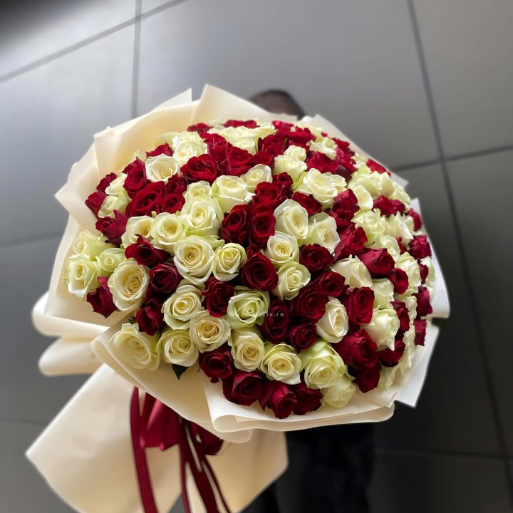 101 высокая импортная роза  в Королёве