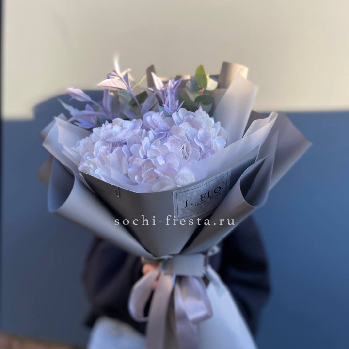 Гортензия "Виолета" в Королёве
