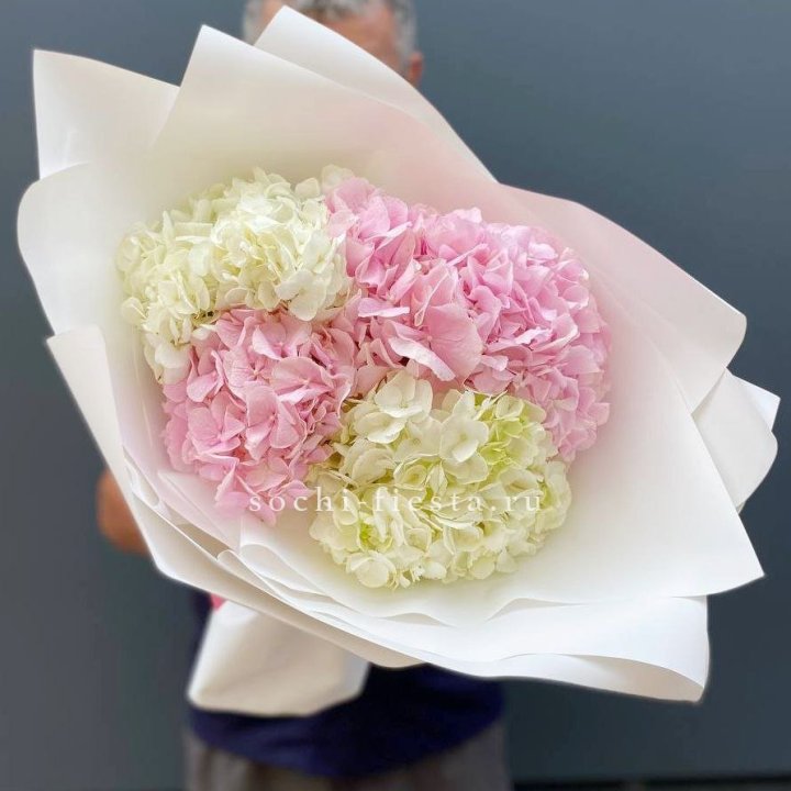 Букет гортензий №5 в Королёве