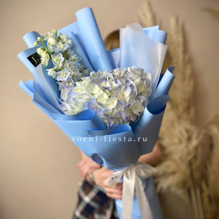 Гортензия "Блю скай" в Королёве