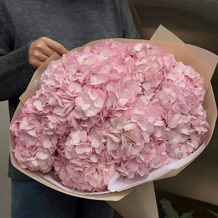 Гортензия  "РОЗЕ" в Королёве