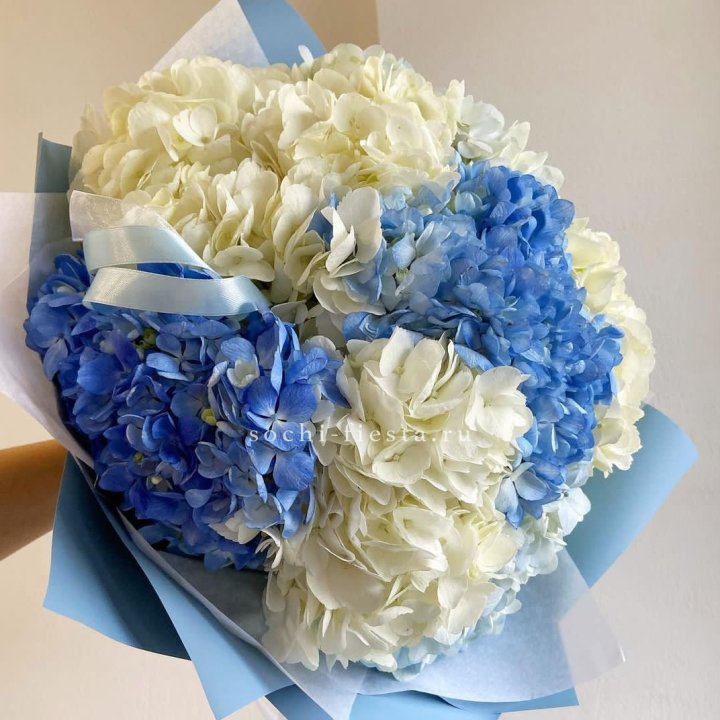 Букет гортензий "Голубая лаза" в Королёве