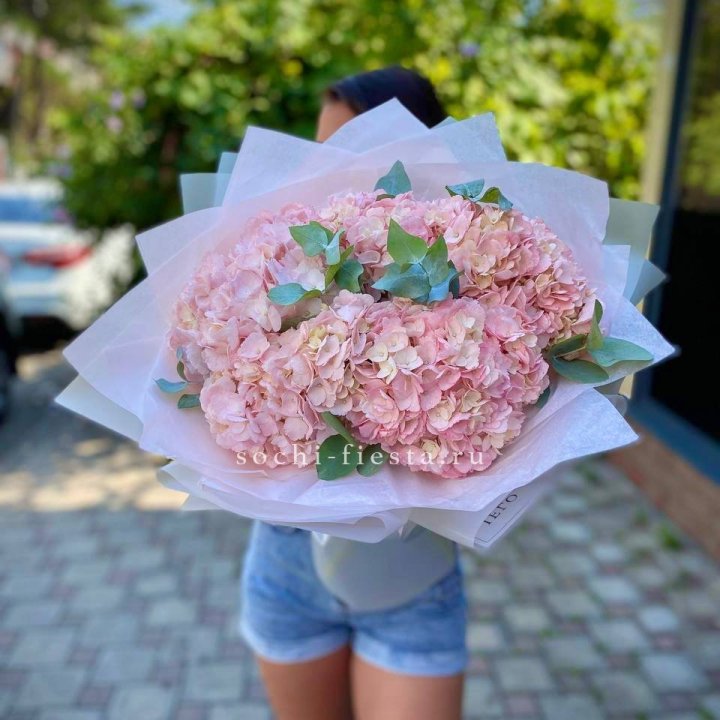 5 розовых гортензий  в Королёве