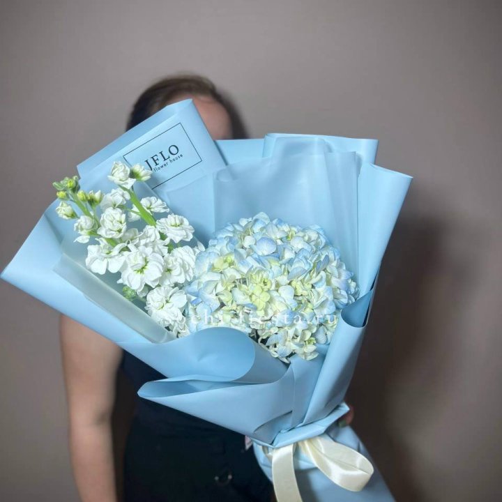 Гортензия голубая с маттиолой в Королёве