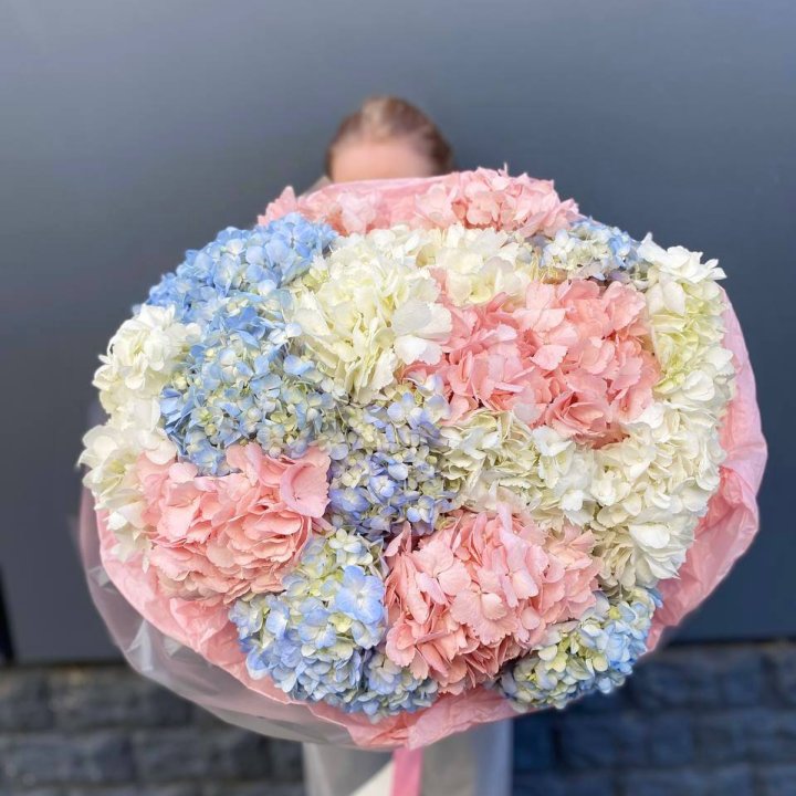 19 гортензий микс в Королёве