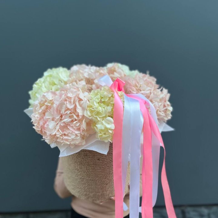 7 гортензий в кашпо в Королёве