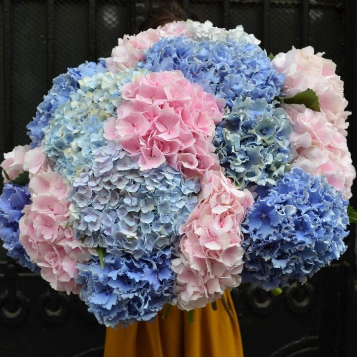 Букет гортензий "Фонтан" в Королёве