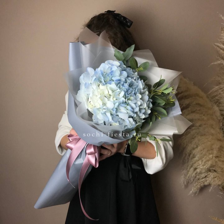 Гортензия Уно в Королёве