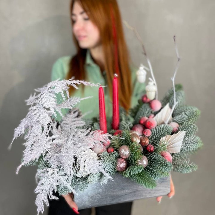 Бокс красный с нобилисом в Королёве