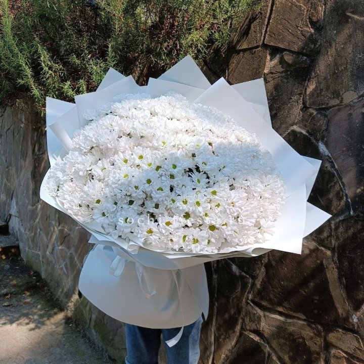 Облако хризантем №2 в Королёве