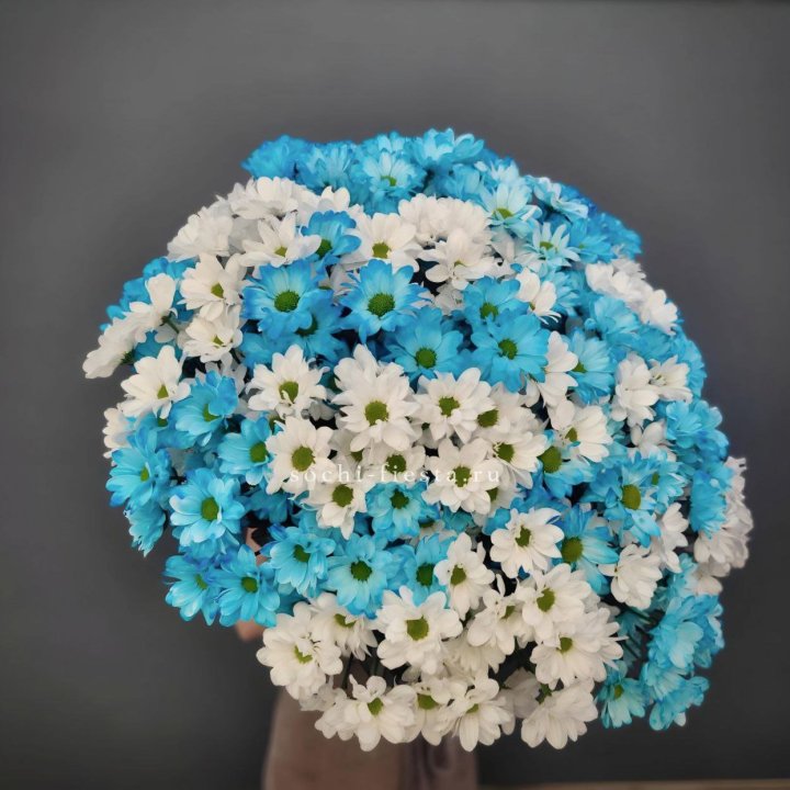  Букет хризантем микс в Королёве