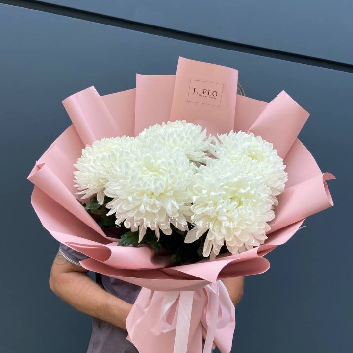 Профитроли №2 в Королёве