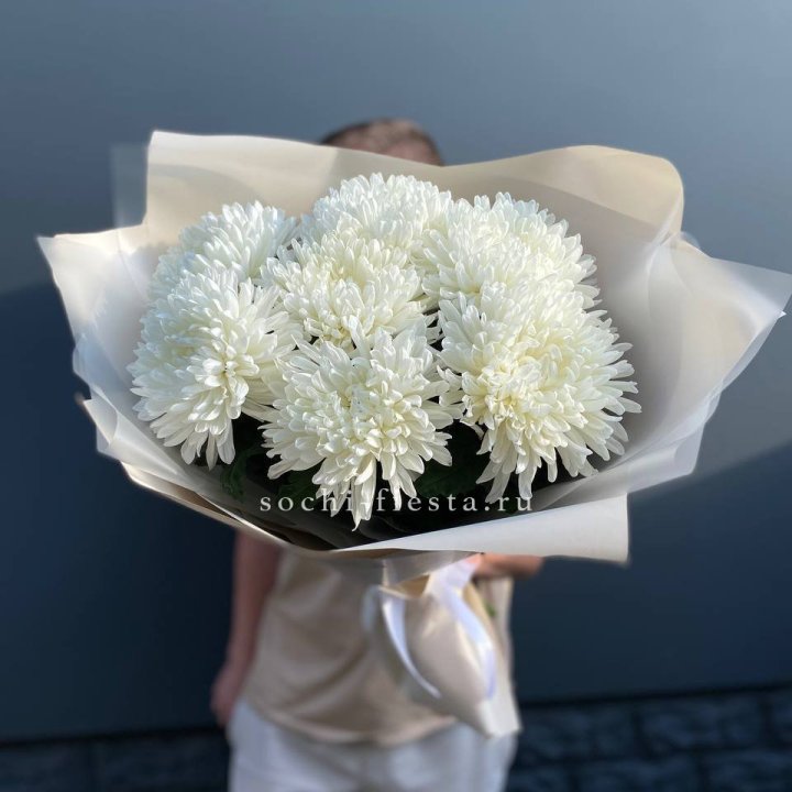 Профитроли в Королёве