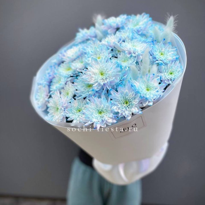  Букет нежно-голубых хризантем  в Королёве