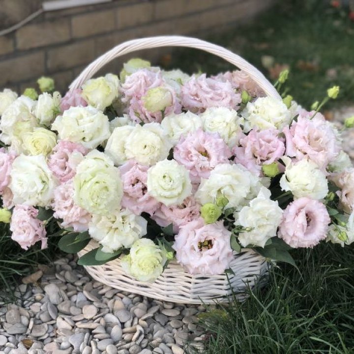 Корзина с эустомой в Королёве