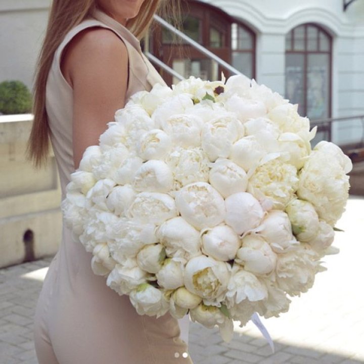 51 белый пион в Королёве