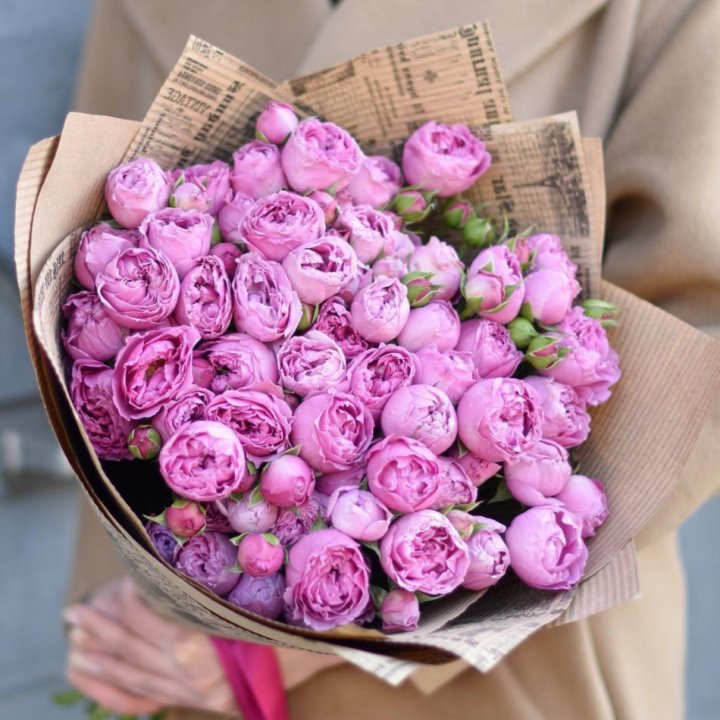 Роза Мисти Баблс в Королёве