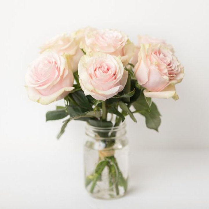 7 кремовых роз в Королёве