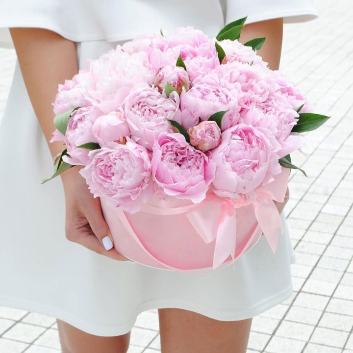 Пионы в шляпной коробке в Королёве